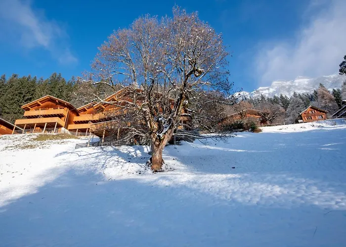 Alpehytte Racers Retreat 10 *